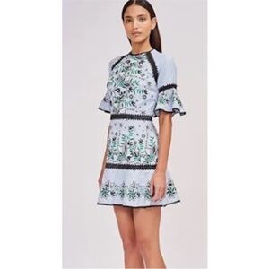 EUC. AMUR Embroidered Dress, Size 12, Blue Striped Floral Ruffle Sleeve 🤩